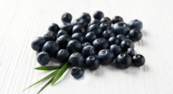 [효능 백서 111] 아사이베리(Acai Berry)의 모든 것: 분말 활용법, 스무디 레시피, 부작용은?