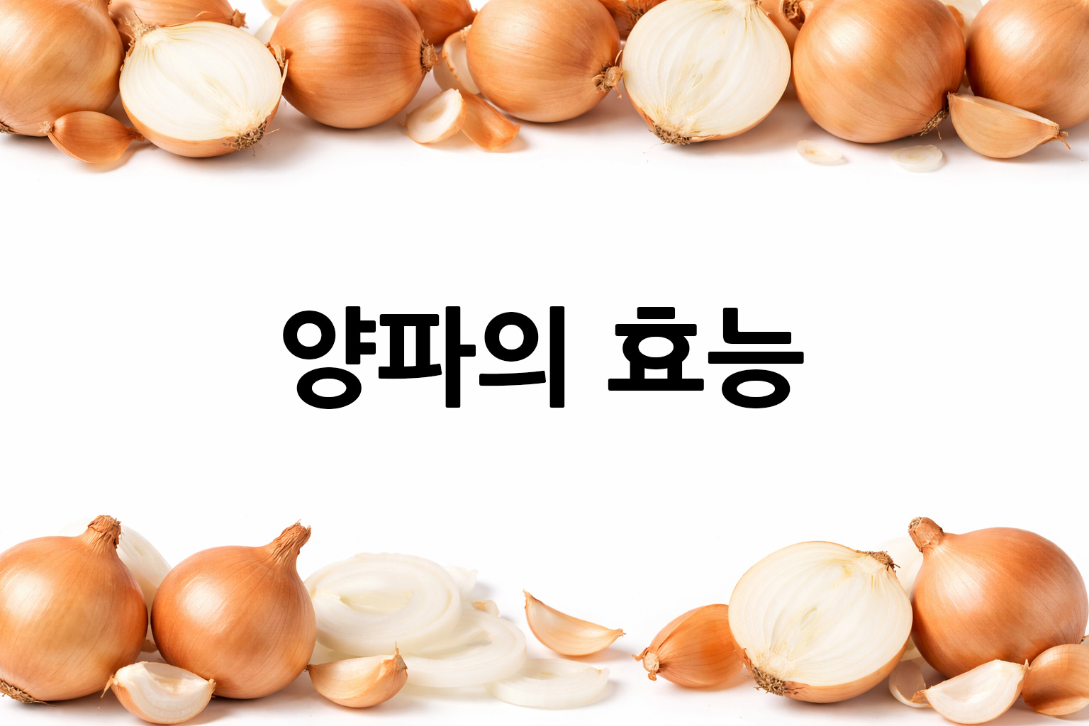 흰 배경의 양파 상·하단 띠 이미지, 가운데 텍스트 공간 비움
