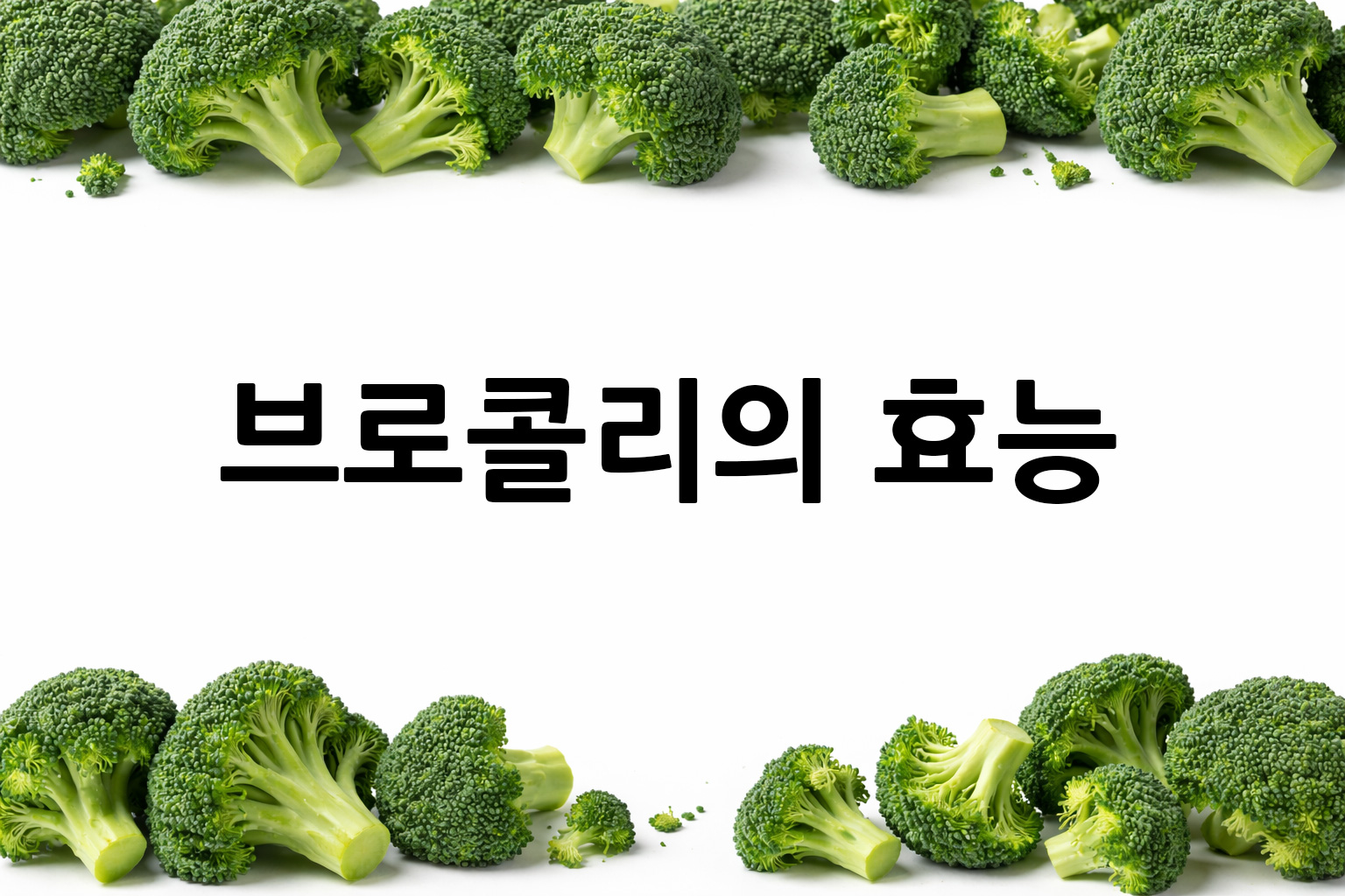 흰 배경의 브로콜리 상·하단 띠 이미지, 가운데 텍스트 공간 비움