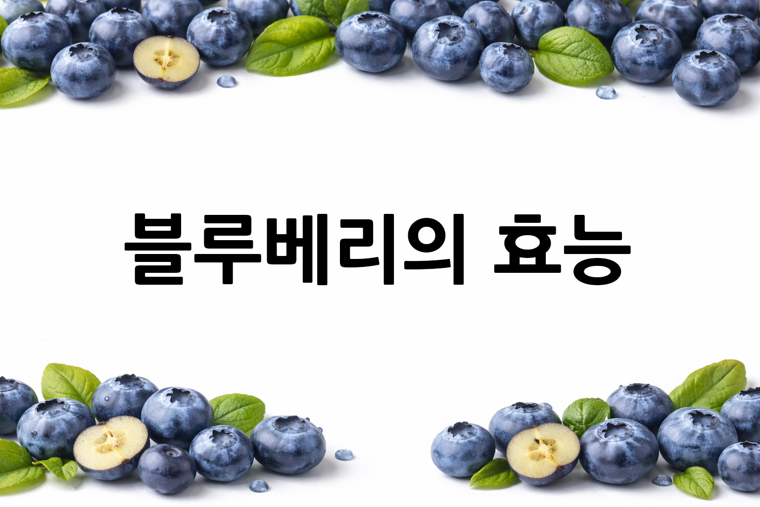 흰 배경의 블루베리 상·하단 띠 이미지, 가운데 텍스트 공간 비움