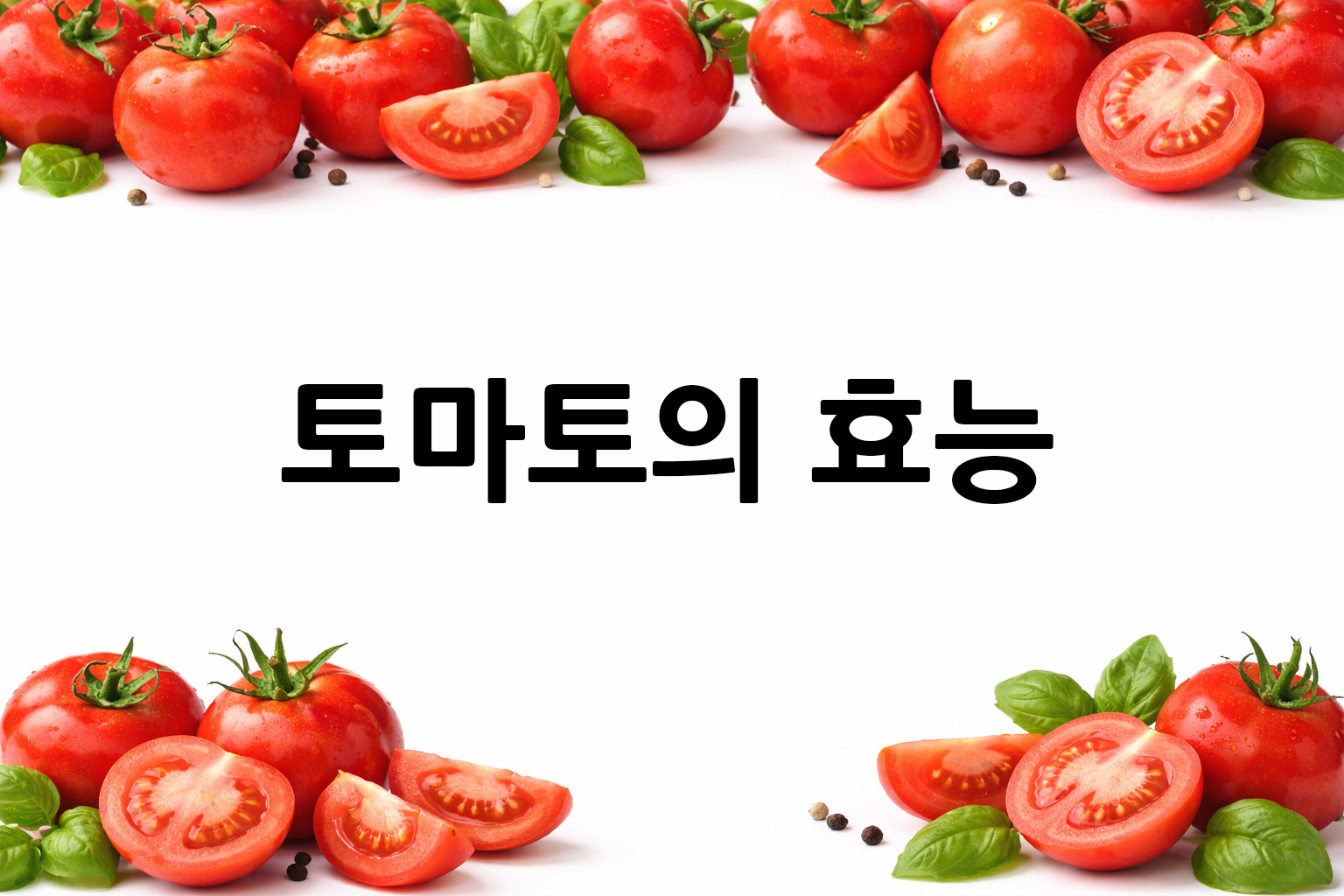 흰 배경의 토마토 상·하단 띠 이미지, 가운데 텍스트 공간 비움