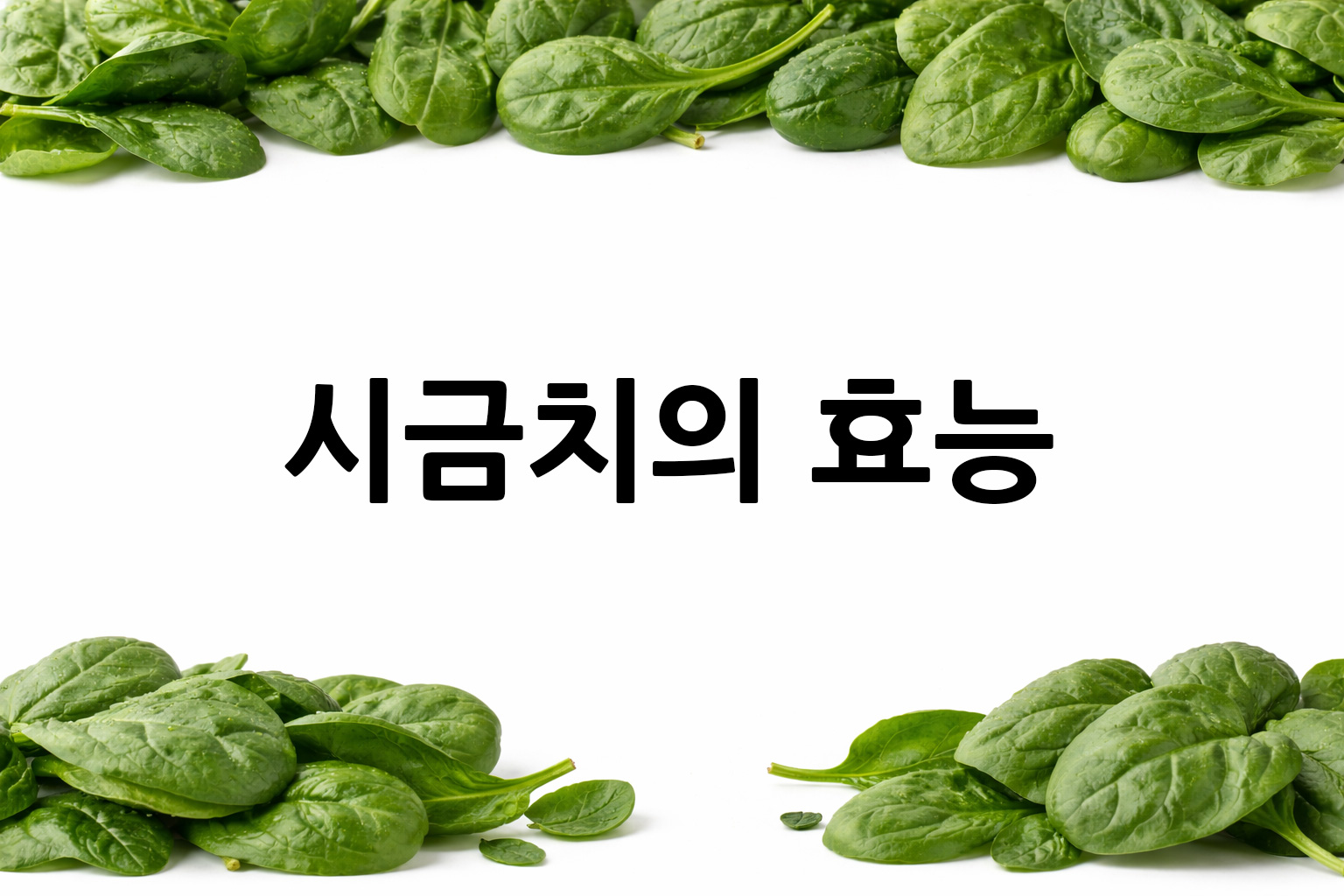 흰 배경의 시금치 상·하단 띠 이미지, 가운데 텍스트 공간 비움