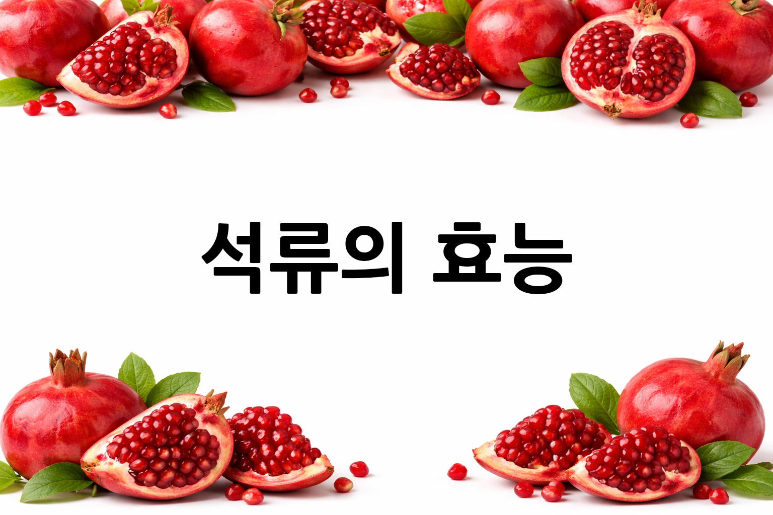 흰 배경의 석류 상·하단 띠 이미지, 가운데 텍스트 공간 비움