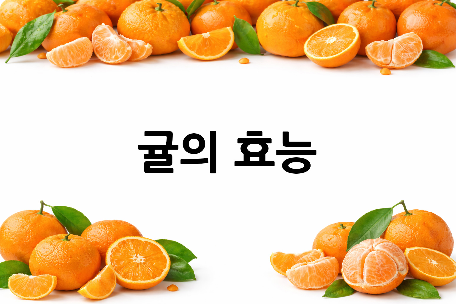 흰 배경의 귤 상·하단 띠 이미지, 가운데 텍스트 공간 비움