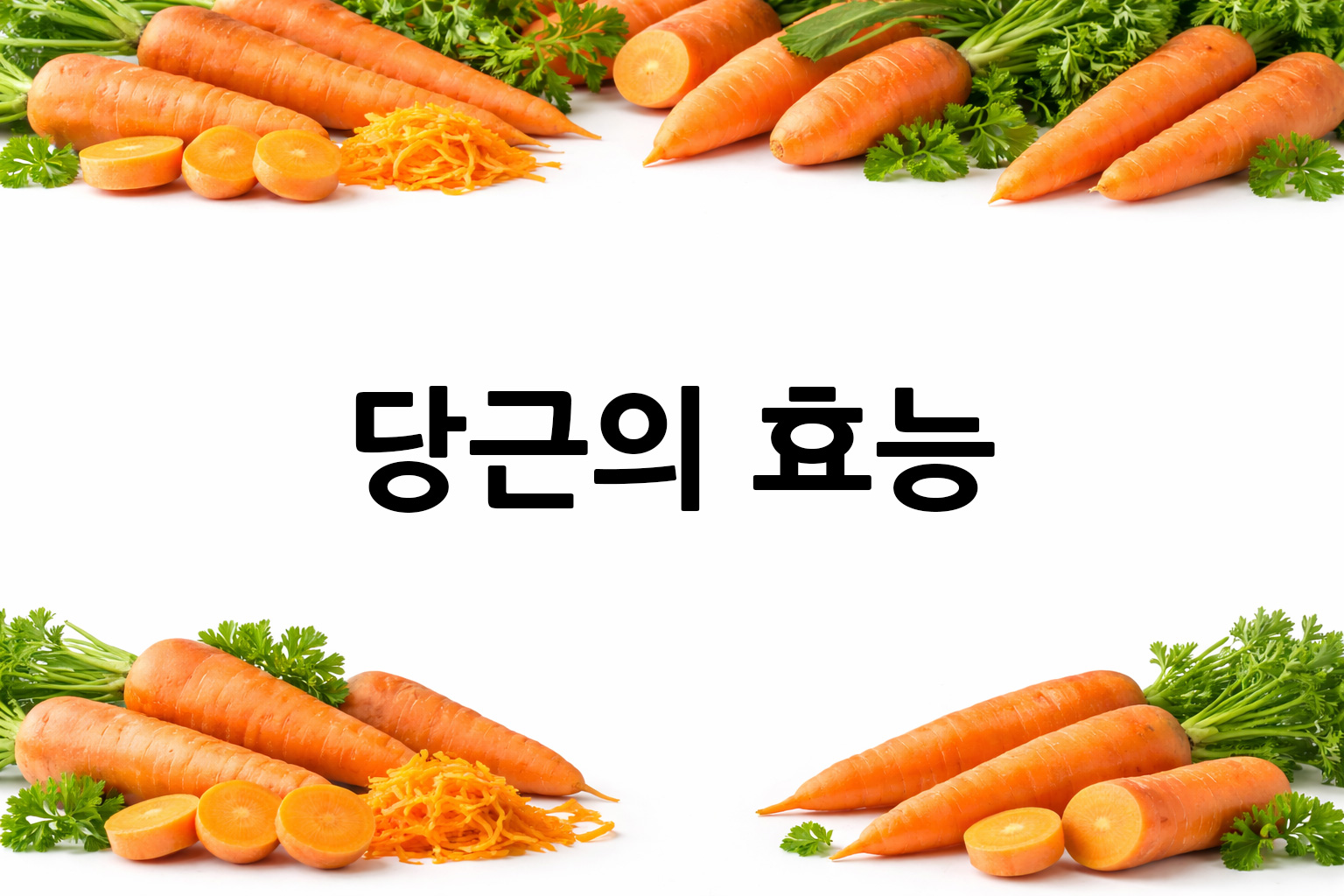 흰 배경의 당근 상·하단 띠 이미지, 가운데 텍스트 공간 비움