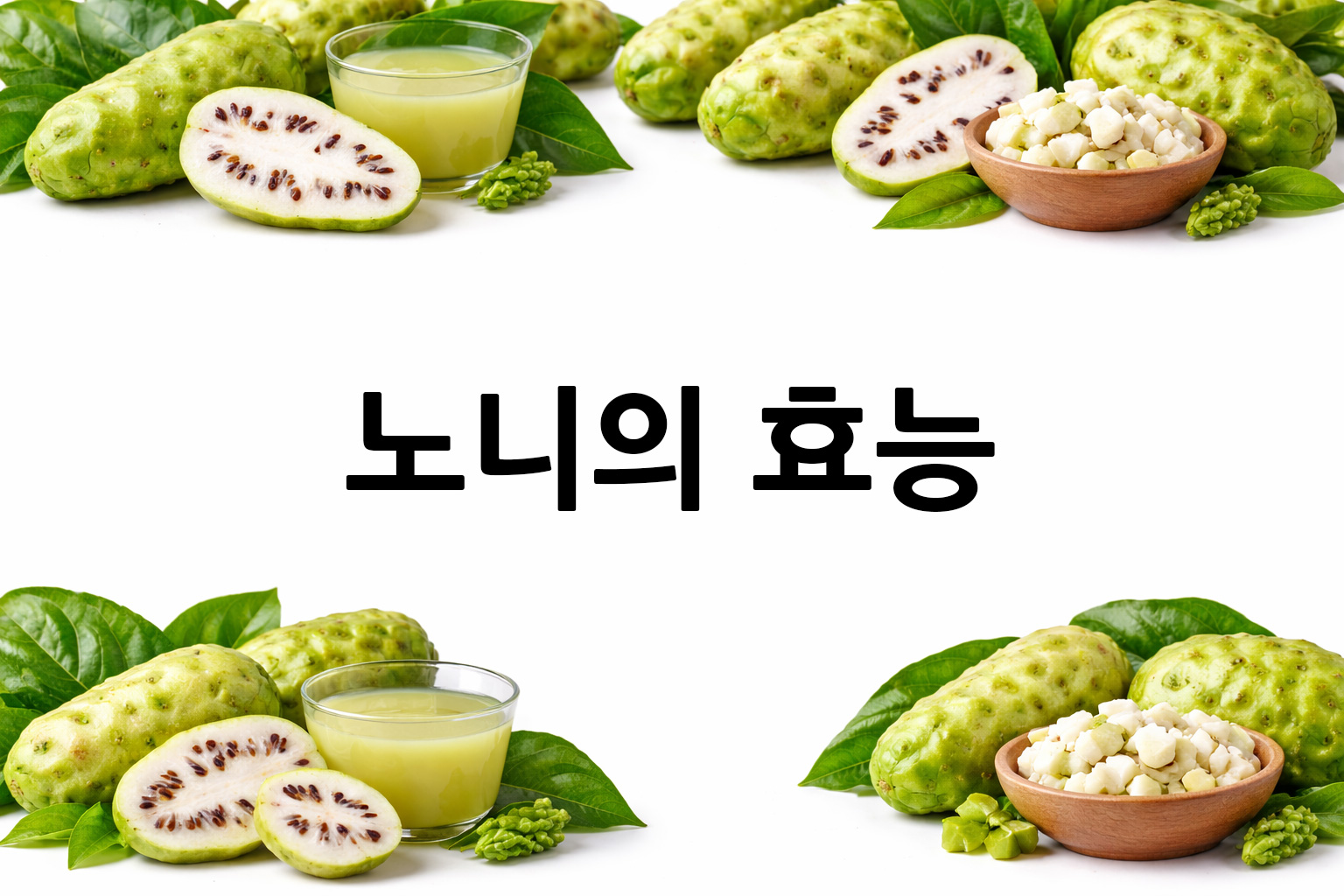 흰 배경의 노니 상·하단 띠 이미지, 가운데 텍스트 공간 비움