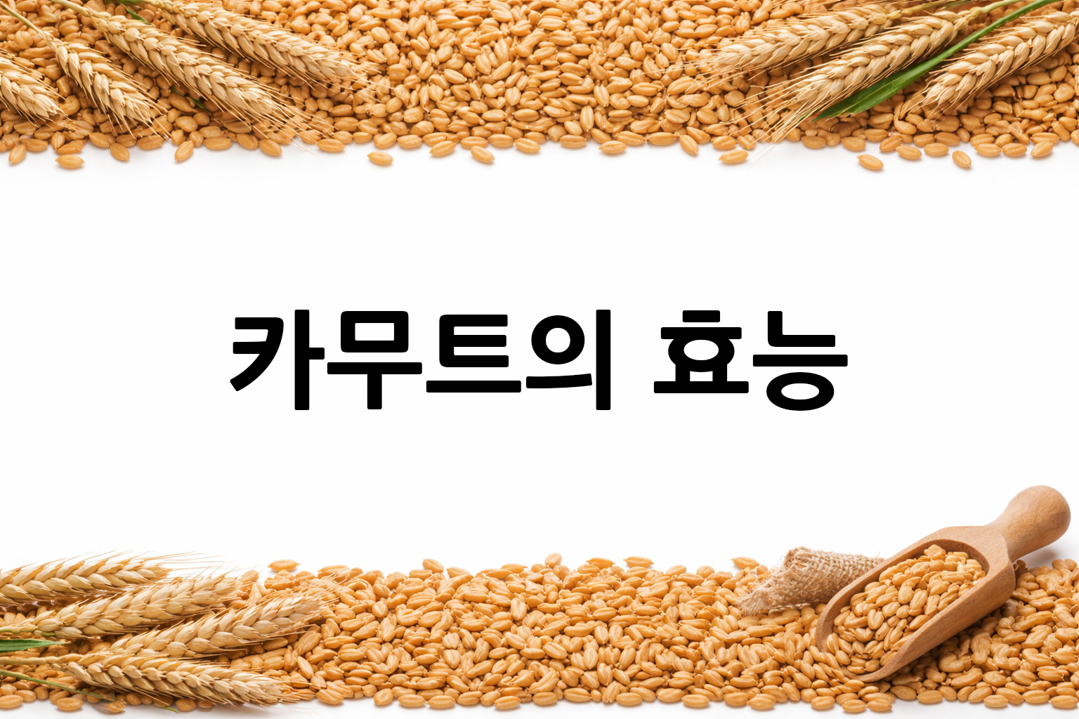 흰 배경의 카무트 상·하단 띠 이미지, 가운데 텍스트 공간 비움