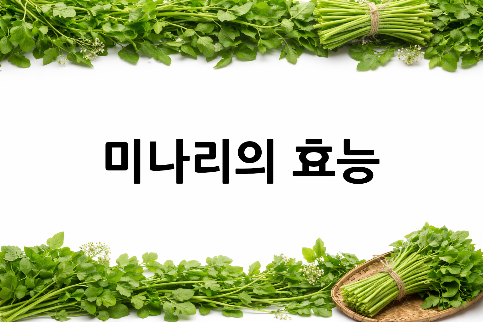 흰 배경의 미나리 상·하단 띠 이미지, 가운데 텍스트 공간 비움