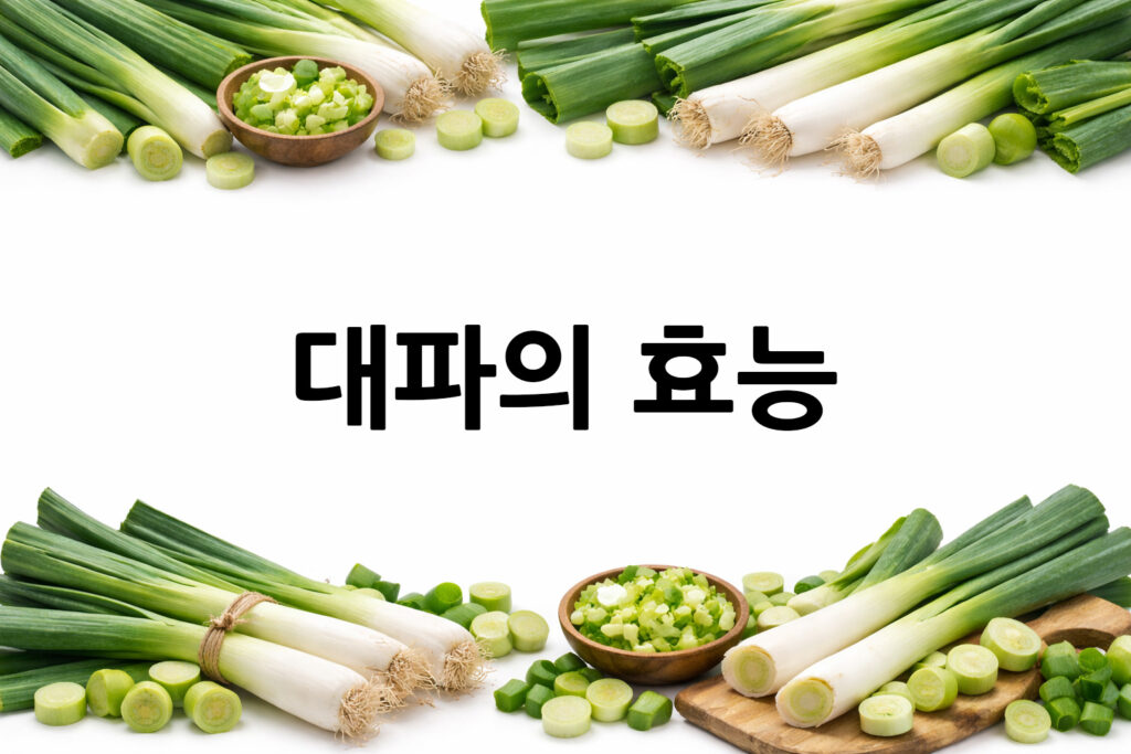 대파 효능 7가지, 성분부터 섭취 방법·주의사항까지 - Choi's World