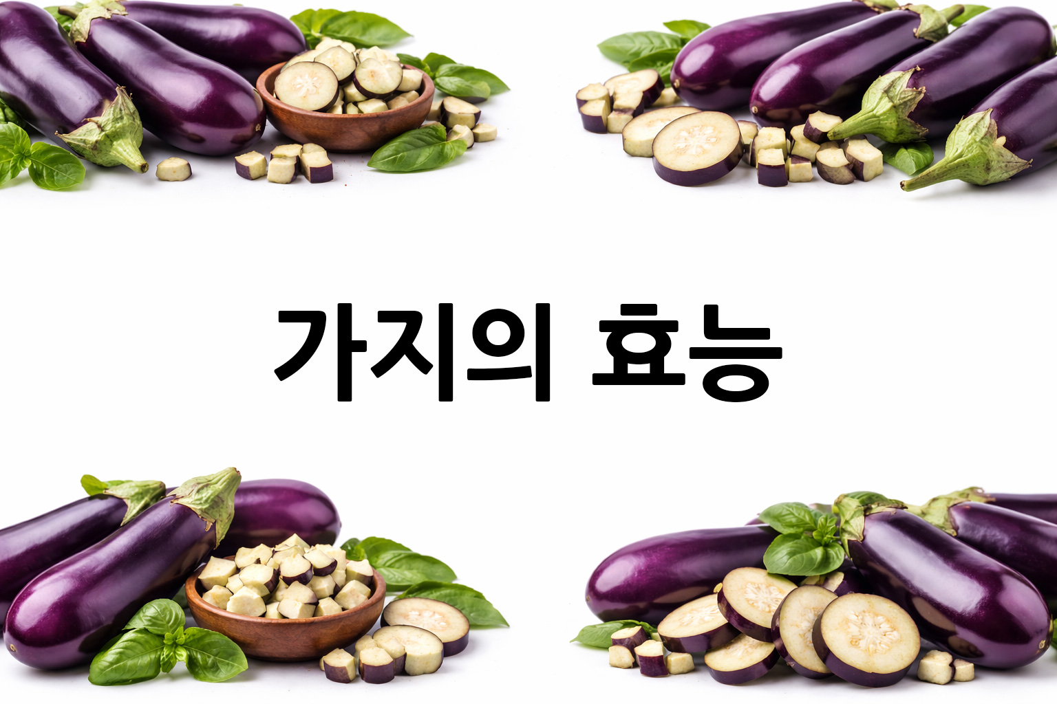흰 배경의 가지 상·하단 띠 이미지, 가운데 텍스트 공간 비움
