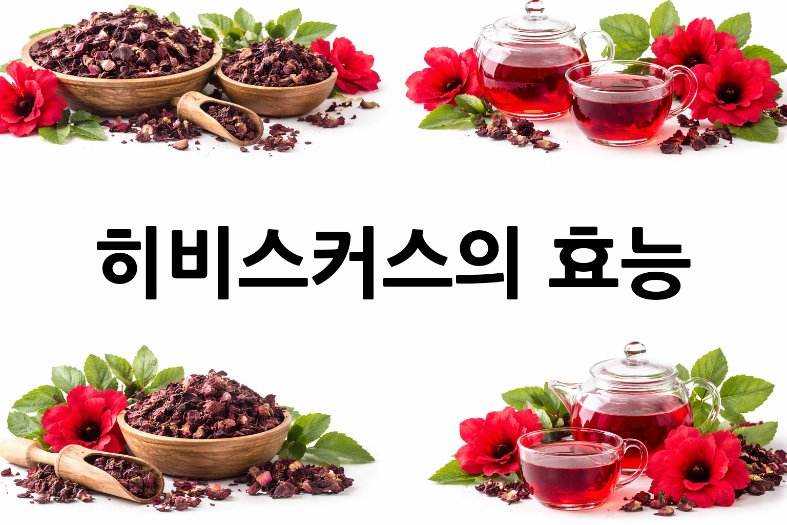 흰 배경의 히비스커스 상·하단 띠 이미지, 가운데 텍스트 공간 비움