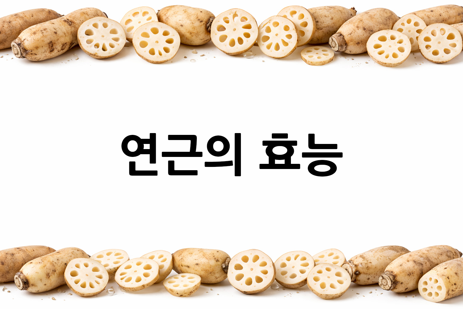 흰 배경의 연근 상·하단 띠 이미지, 가운데 텍스트 공간 비움