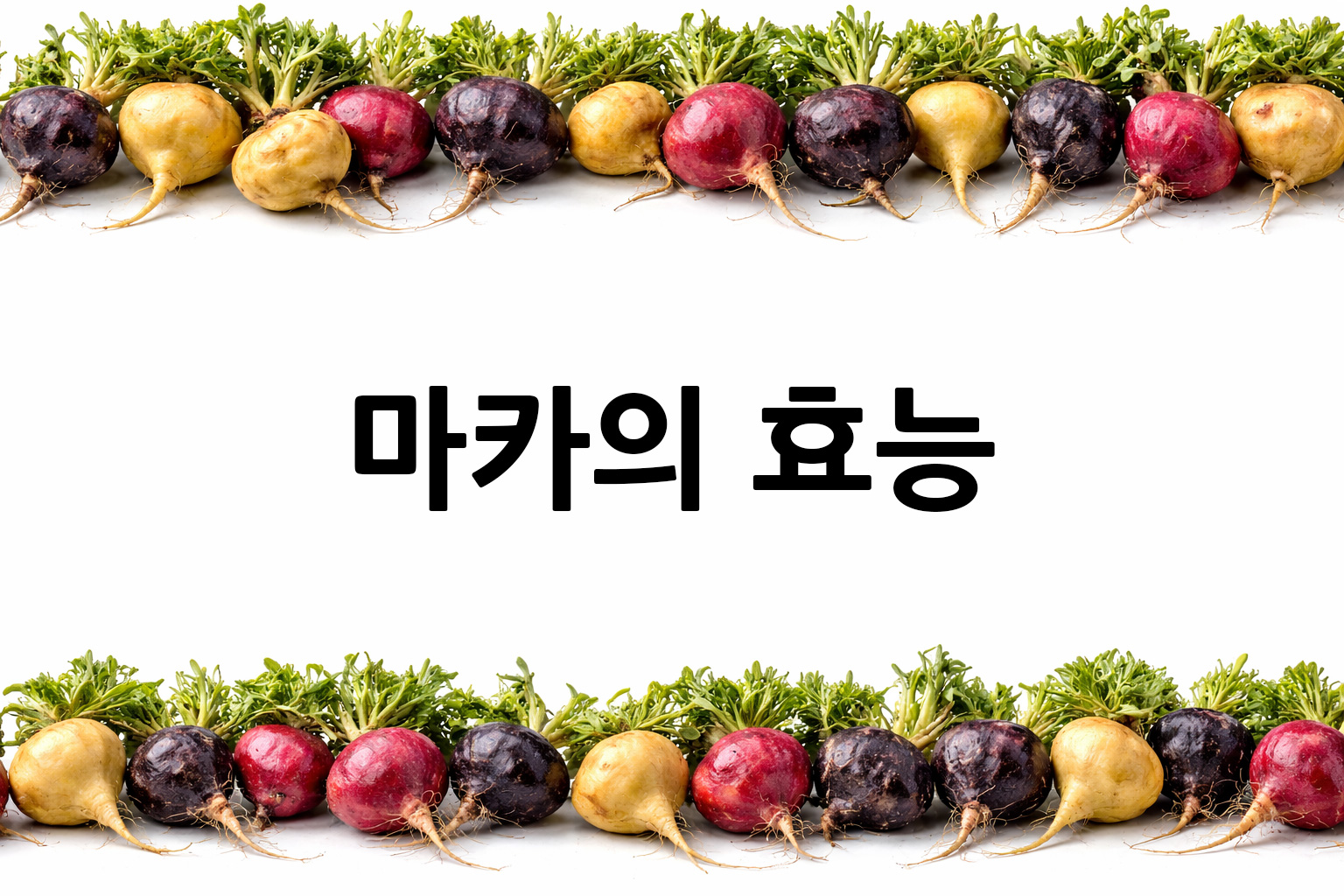 흰 배경의 마카 상·하단 띠 이미지, 가운데 텍스트 공간 비움