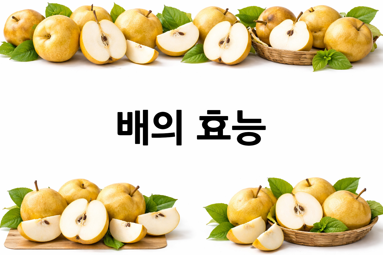 흰 배경의 배 상·하단 띠 이미지, 가운데 텍스트 공간 비움