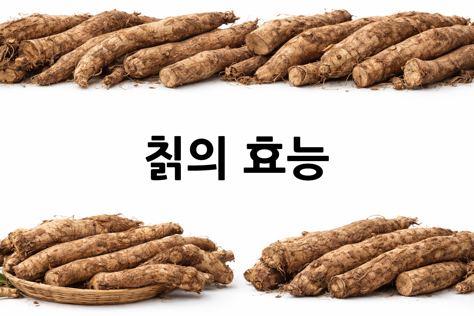 흰 배경의 칡 상·하단 띠 이미지, 가운데 텍스트 공간 비움