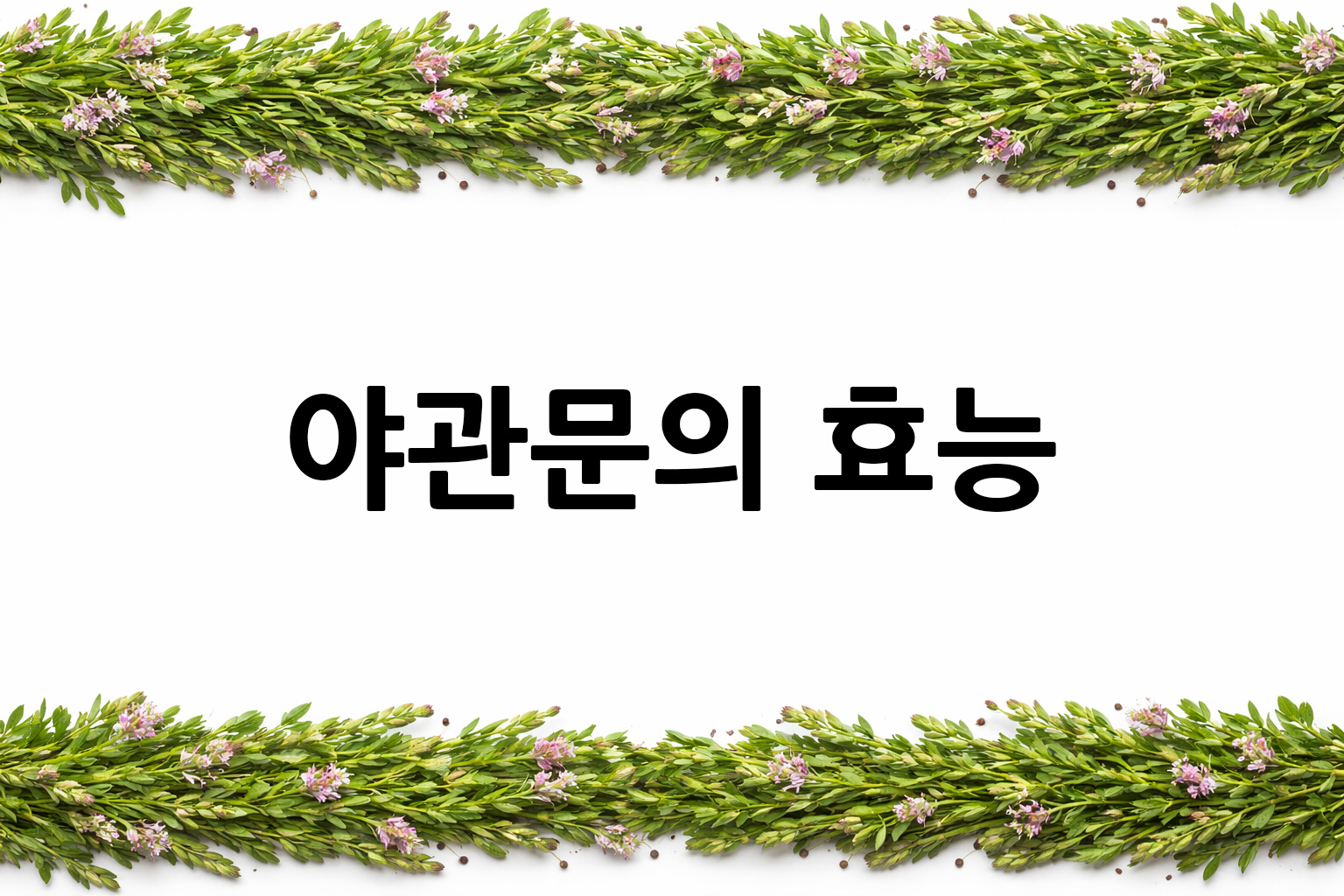 흰 배경의 야관문 상·하단 띠 이미지, 가운데 텍스트 공간 비움