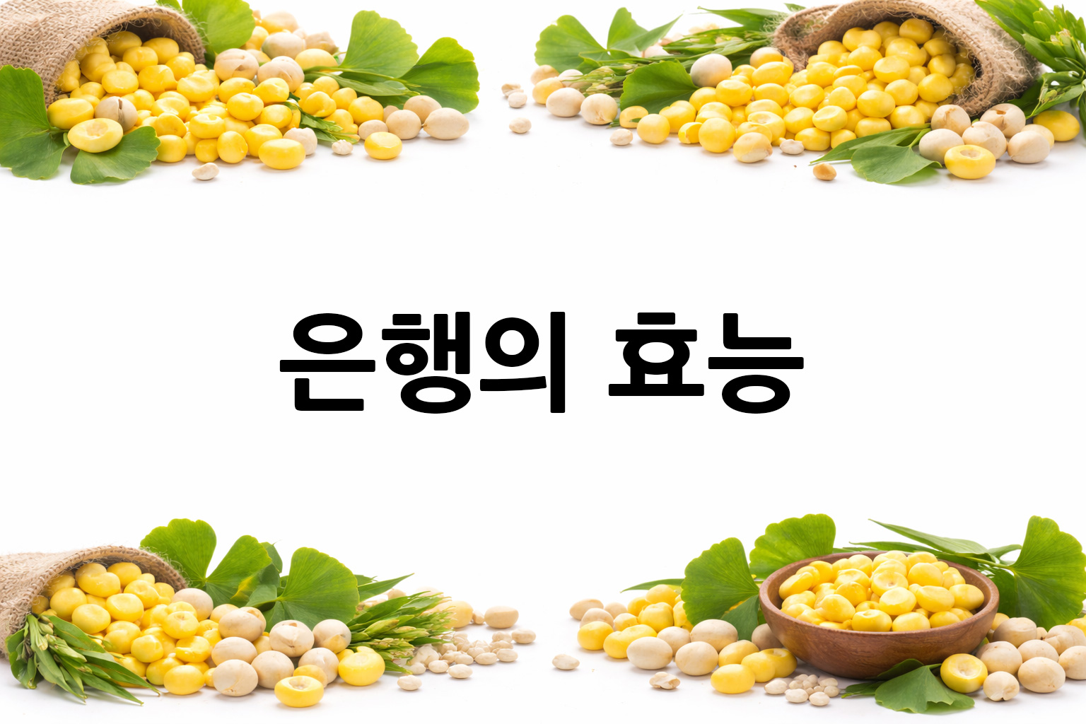 흰 배경의 은행 상·하단 띠 이미지, 가운데 텍스트 공간 비움