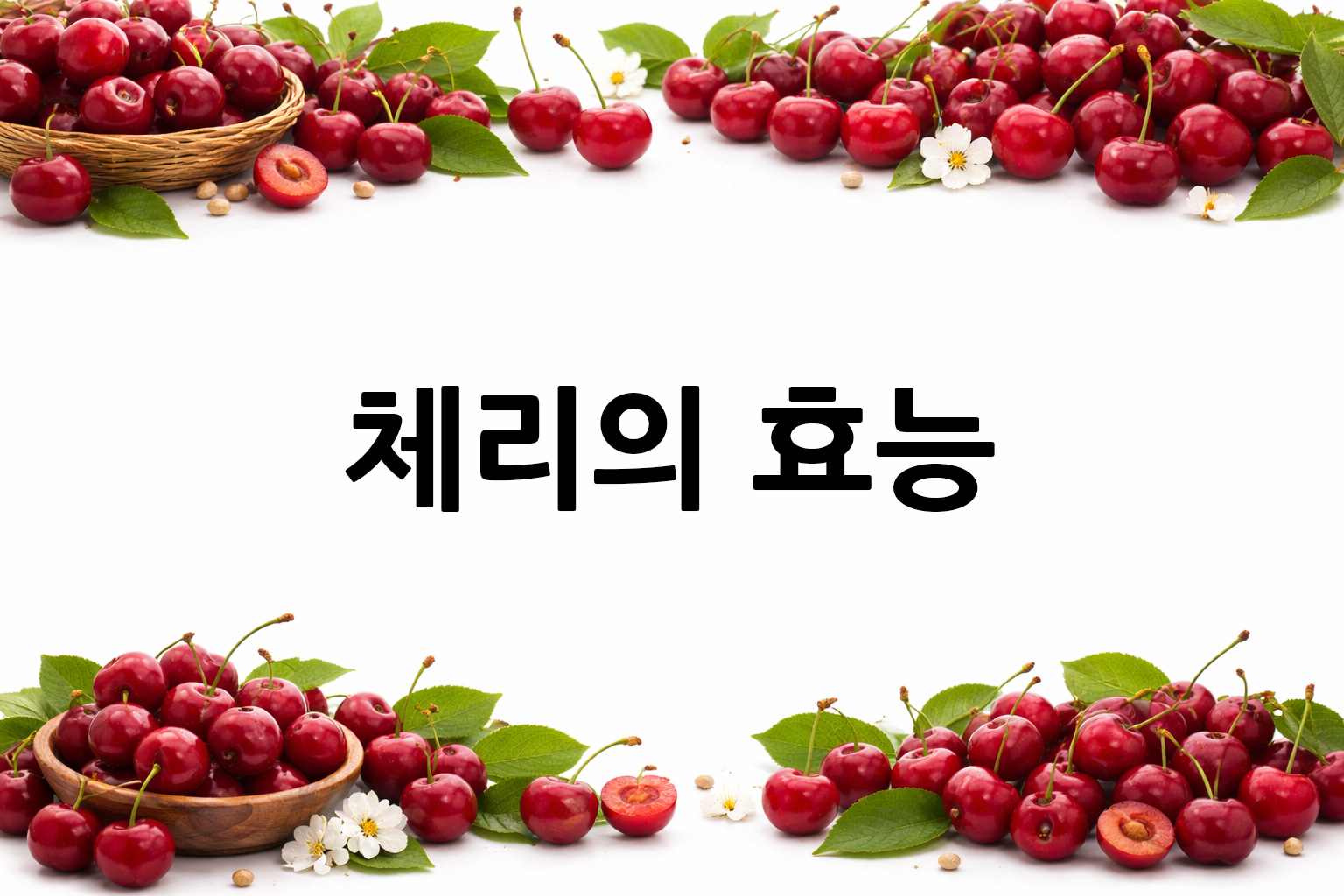 흰 배경의 체리 상·하단 띠 이미지, 가운데 텍스트 공간 비움
