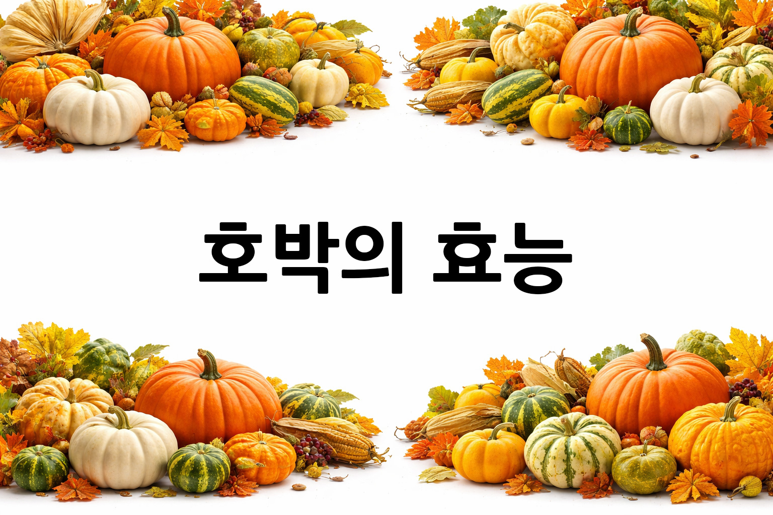 흰 배경의 호박 상·하단 띠 이미지, 가운데 텍스트 공간 비움
