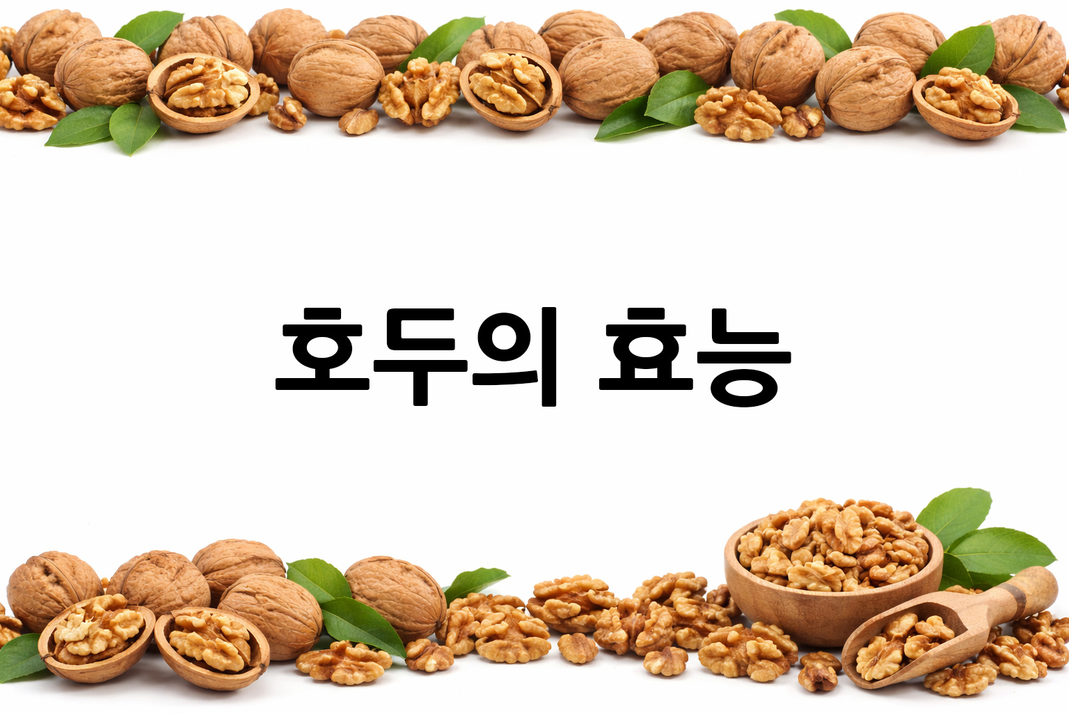 흰 배경의 호두 상·하단 띠 이미지, 가운데 텍스트 공간 비움