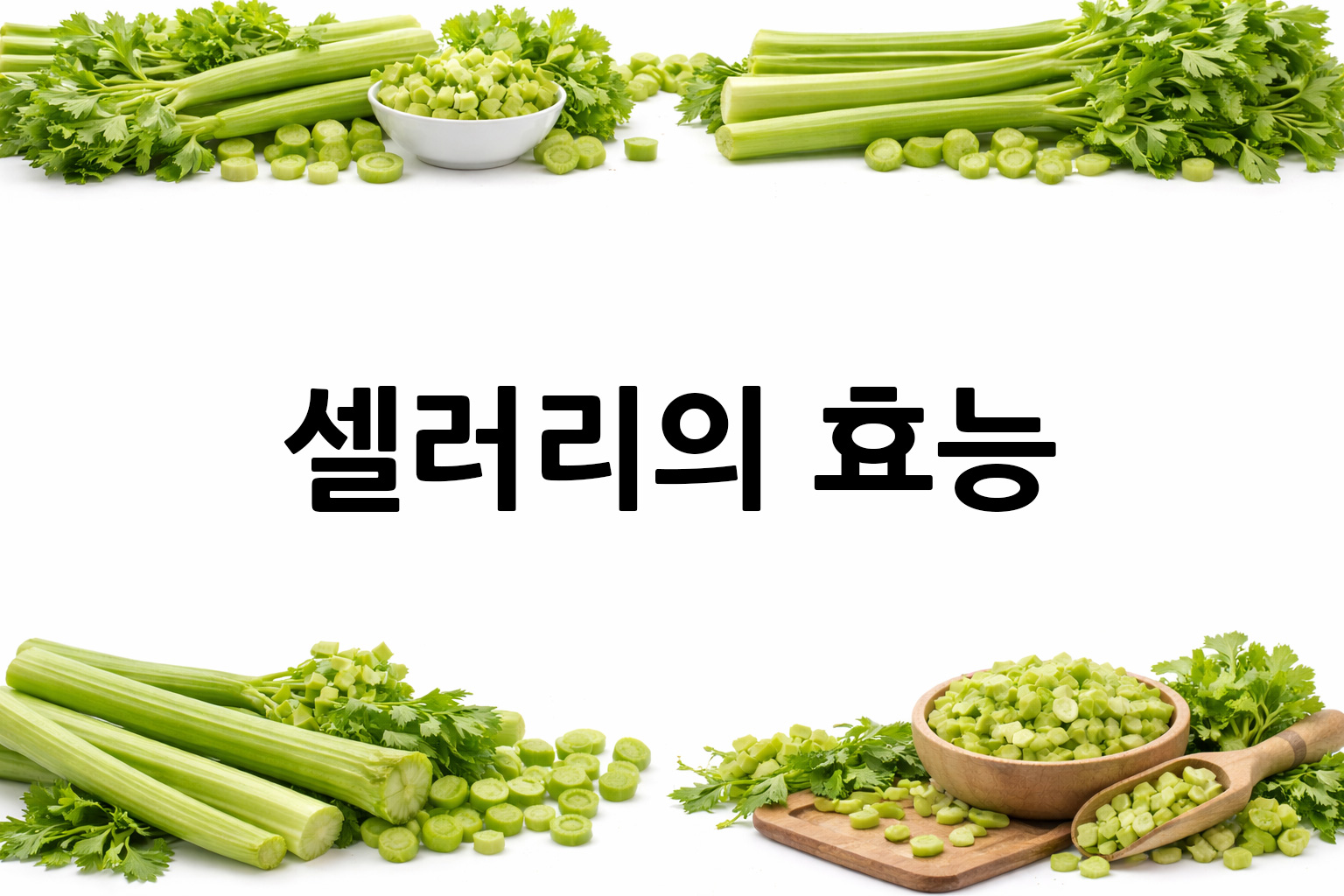 흰 배경의 셀러리 상·하단 띠 이미지, 가운데 텍스트 공간 비움