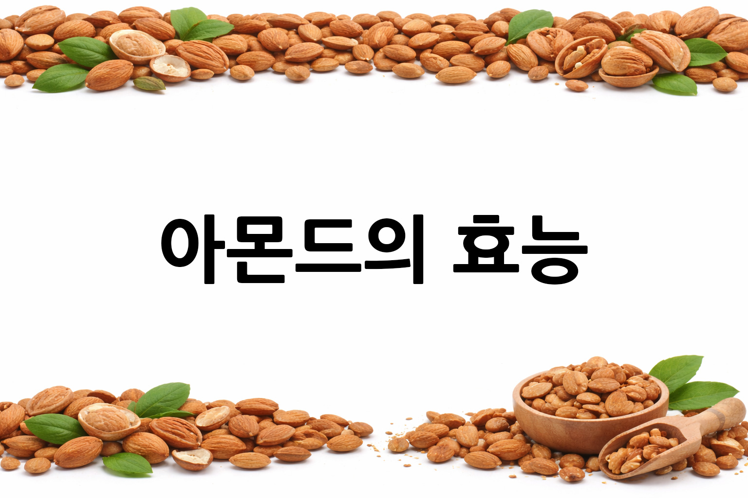 흰 배경의 아몬드 상·하단 띠 이미지, 가운데 텍스트 공간 비움