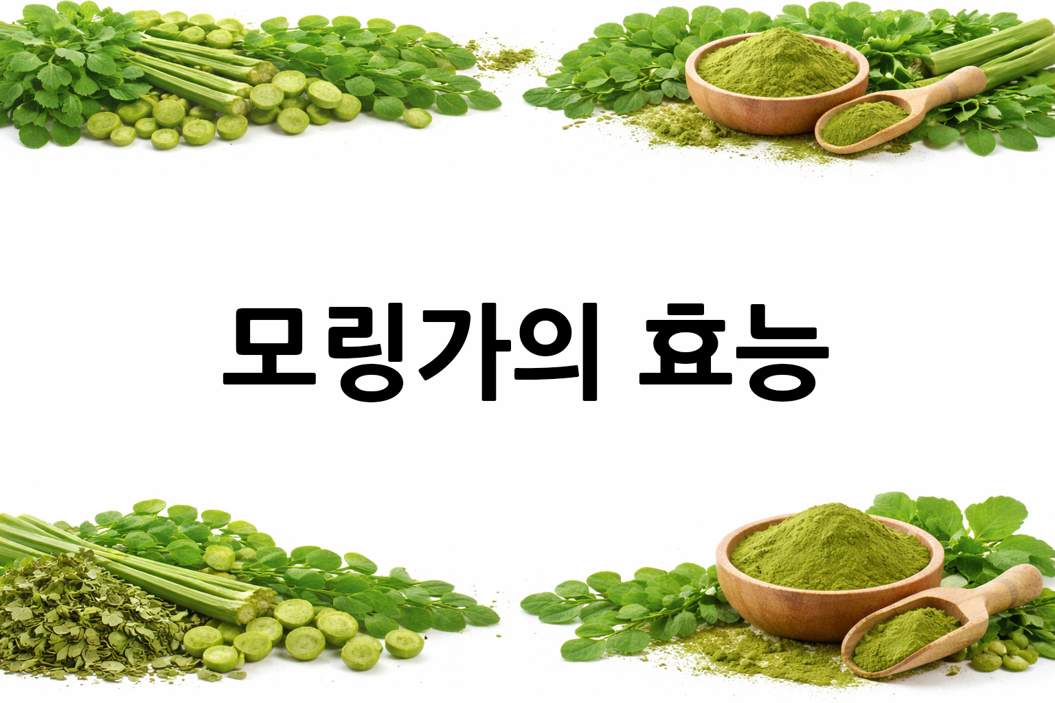 흰 배경의 모링가 상·하단 띠 이미지, 가운데 텍스트 공간 비움