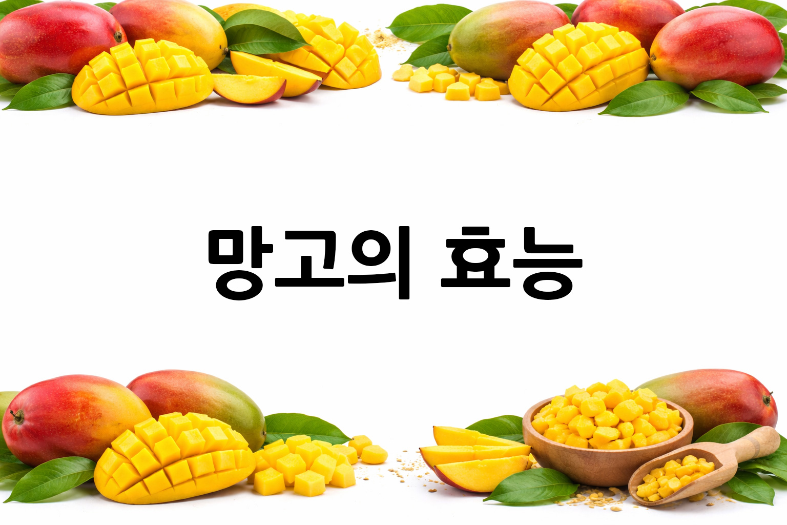 흰 배경의 망고 상·하단 띠 이미지, 가운데 텍스트 공간 비움