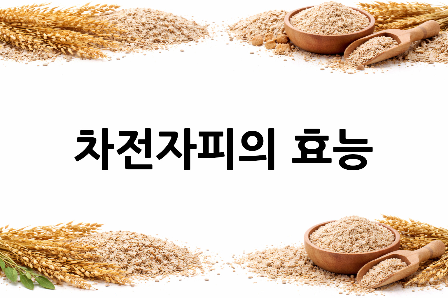 흰 배경의 차전자피 상·하단 띠 이미지, 가운데 텍스트 공간 비움