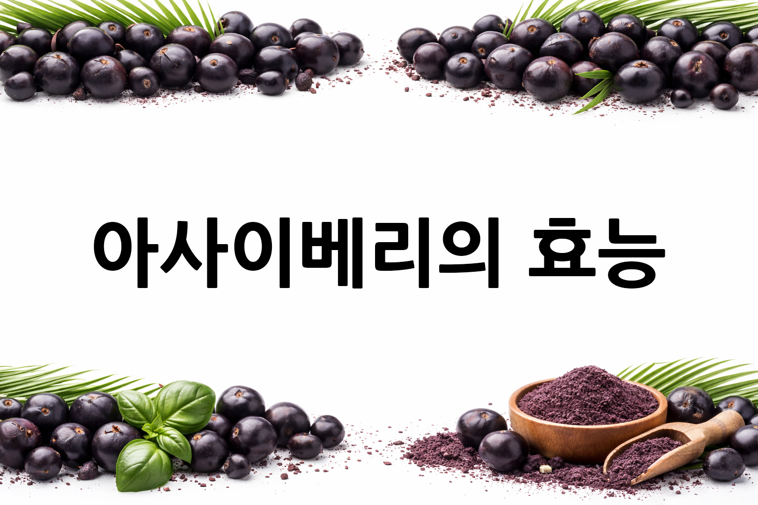 흰 배경의 아사이베리 상·하단 띠 이미지, 가운데 텍스트 공간 비움