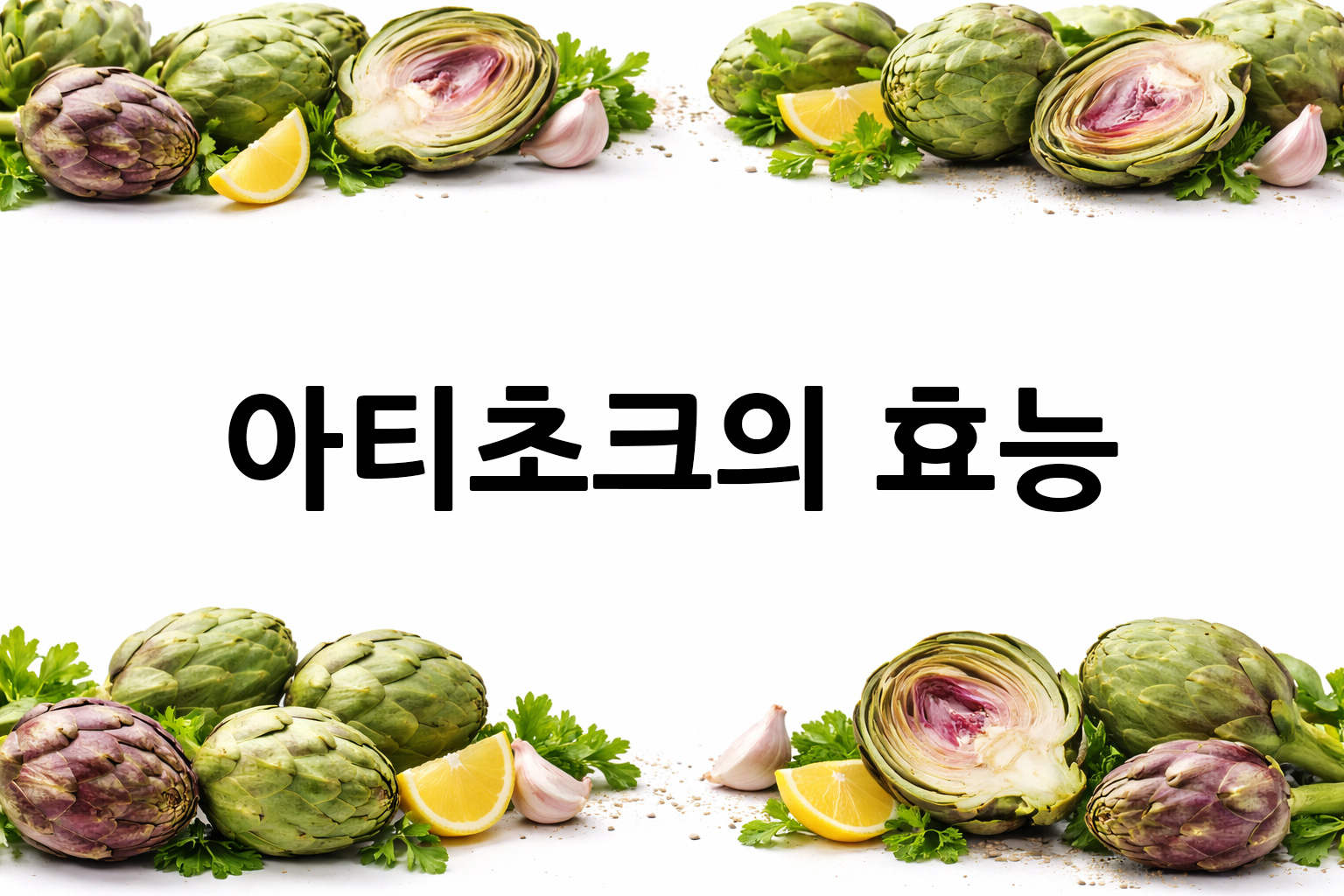 흰 배경의 아티초크 상·하단 띠 이미지, 가운데 텍스트 공간 비움