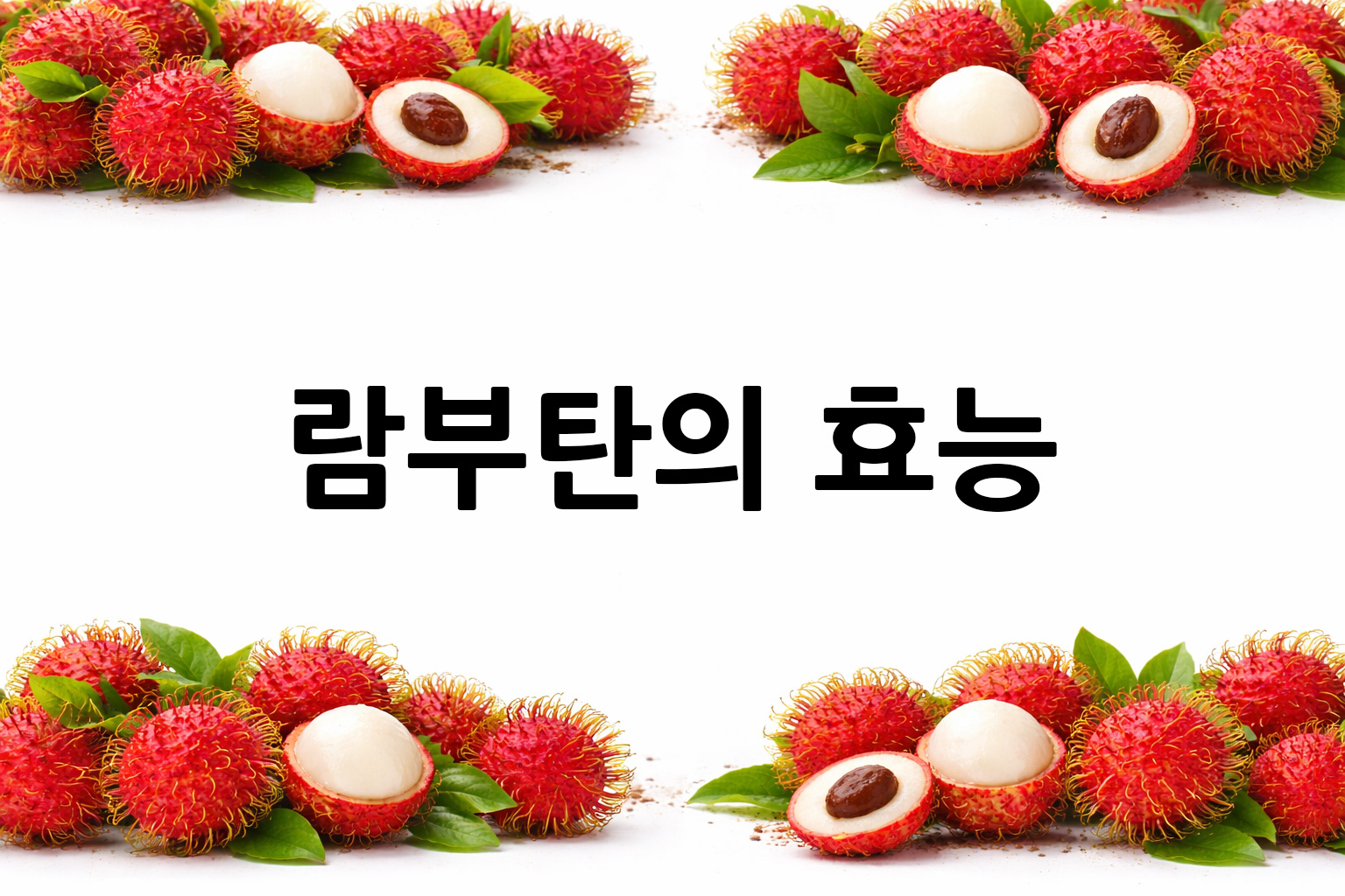 흰 배경의 람부탄 상·하단 띠 이미지, 가운데 텍스트 공간 비움
