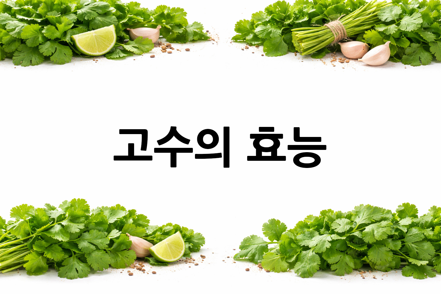 흰 배경의 고수 상·하단 띠 이미지, 가운데 텍스트 공간 비움