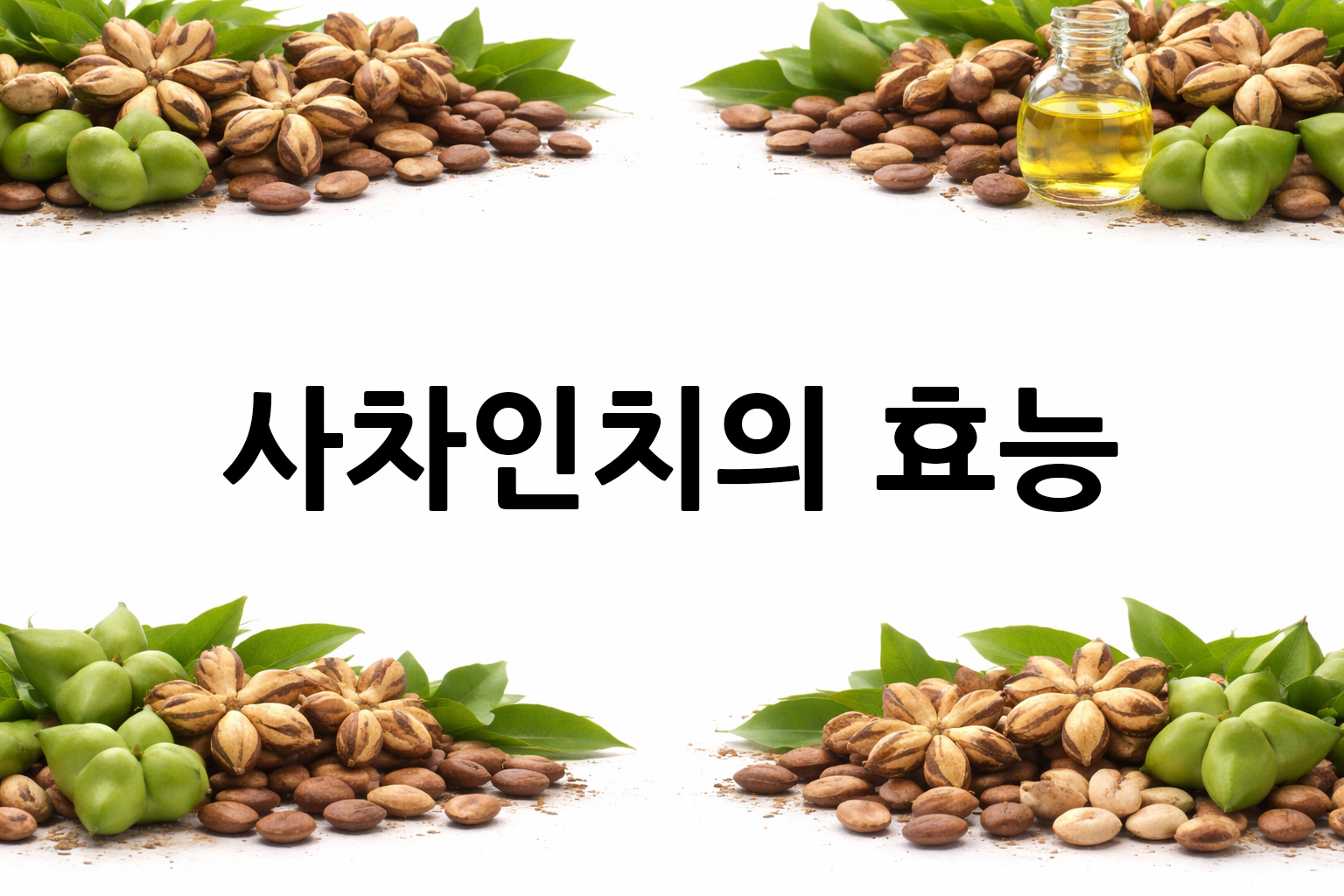 흰 배경의 사차인치 상·하단 띠 이미지, 가운데 텍스트 공간 비움