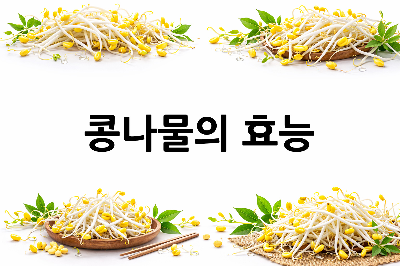 흰 배경의 콩나물 상·하단 띠 이미지, 가운데 텍스트 공간 비움