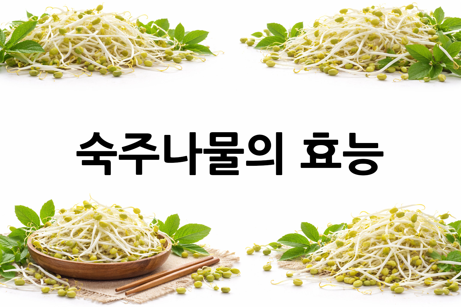 흰 배경의 숙주나물 상·하단 띠 이미지, 가운데 텍스트 공간 비움
