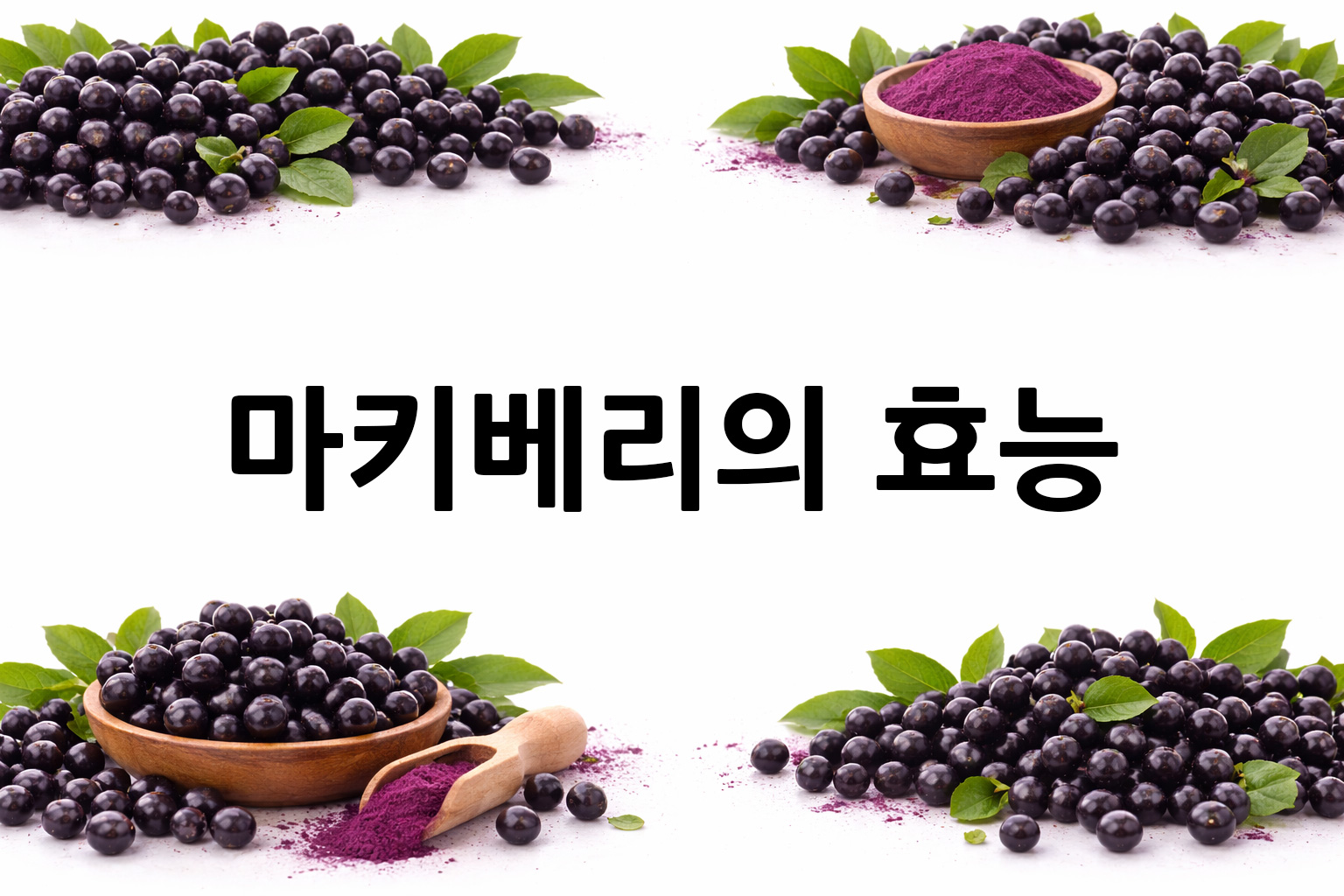 흰 배경의 마키베리 상·하단 띠 이미지, 가운데 텍스트 공간 비움