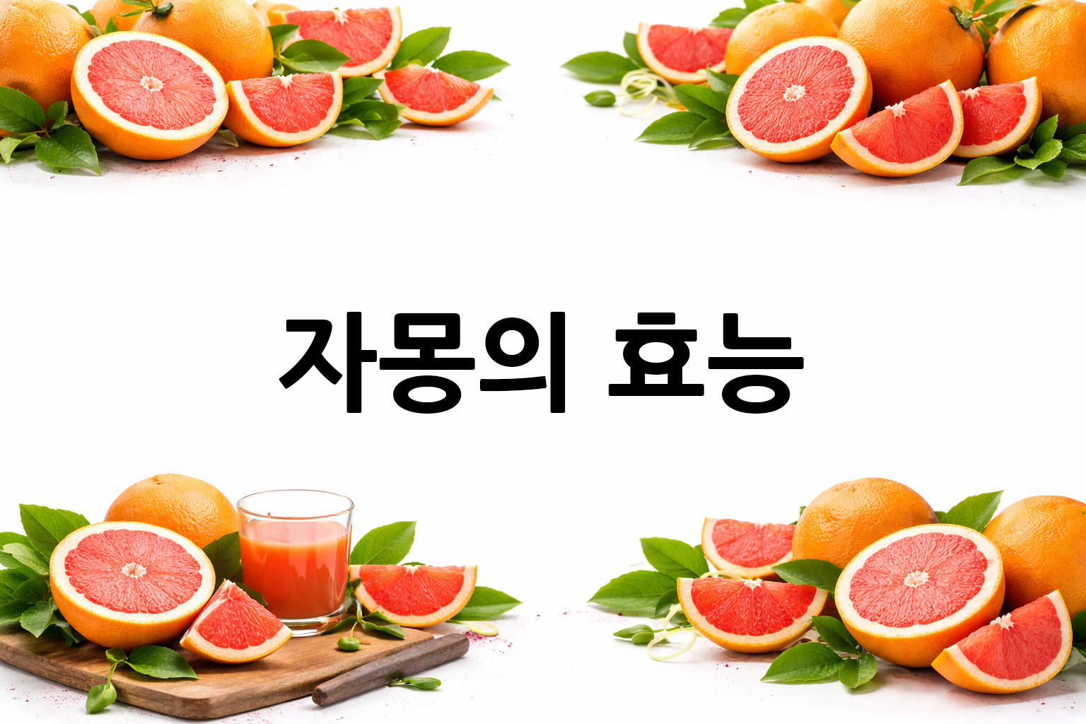 흰 배경의 자몽 상·하단 띠 이미지, 가운데 텍스트 공간 비움