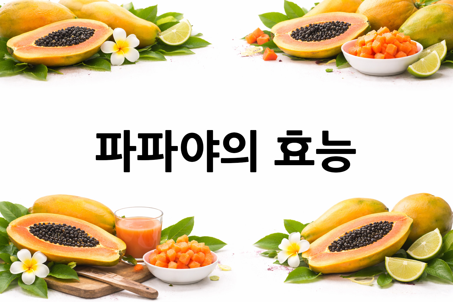 흰 배경의 파파야 상·하단 띠 이미지, 가운데 텍스트 공간 비움