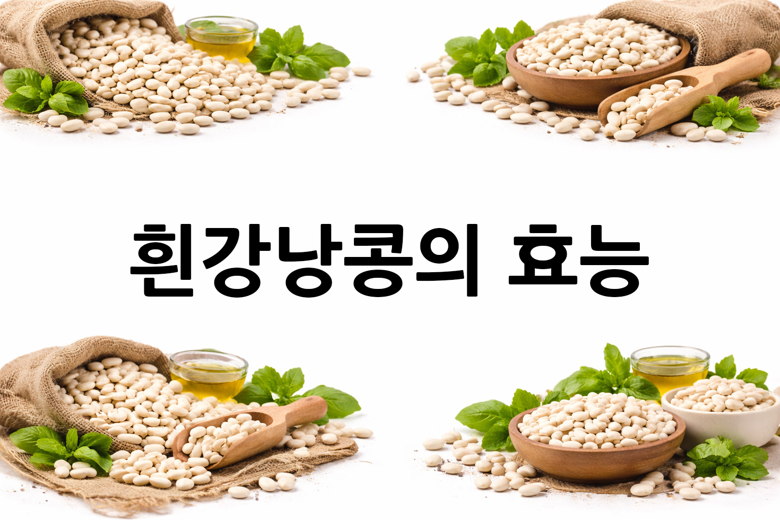 흰 배경의 흰강낭콩 상·하단 띠 이미지, 가운데 텍스트 공간 비움