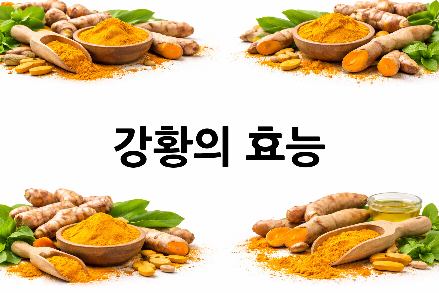 흰 배경의 강황 상·하단 띠 이미지, 가운데 텍스트 공간 비움