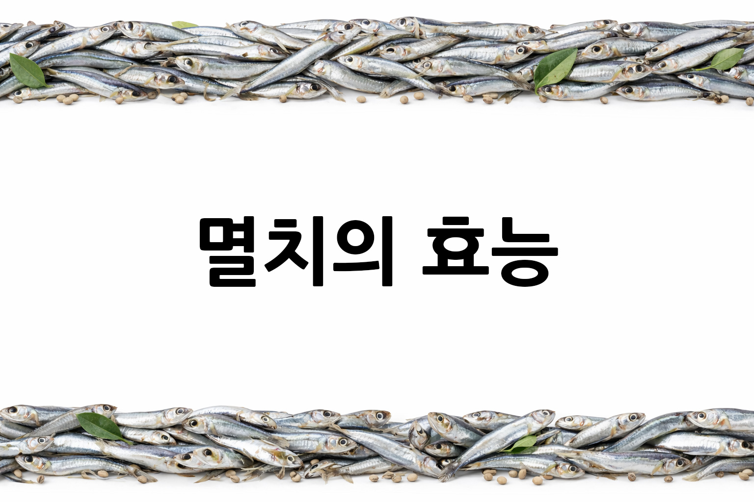 흰 배경의 멸치 상·하단 띠 이미지, 가운데 텍스트 공간 비움