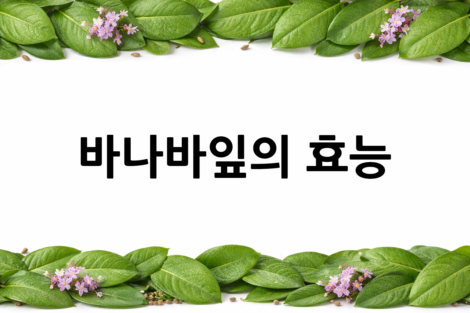 흰 배경의 바나바잎 상·하단 띠 이미지, 가운데 텍스트 공간 비움