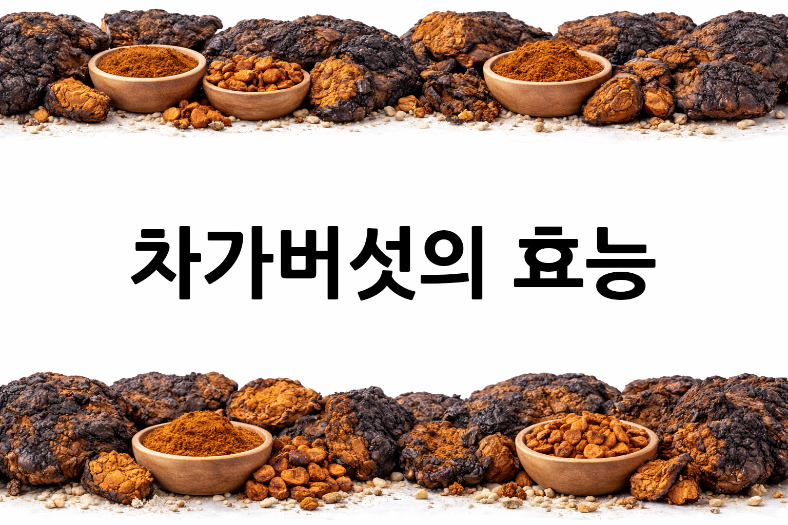 흰 배경의 차가버섯 상·하단 띠 이미지, 가운데 텍스트 공간 비움
