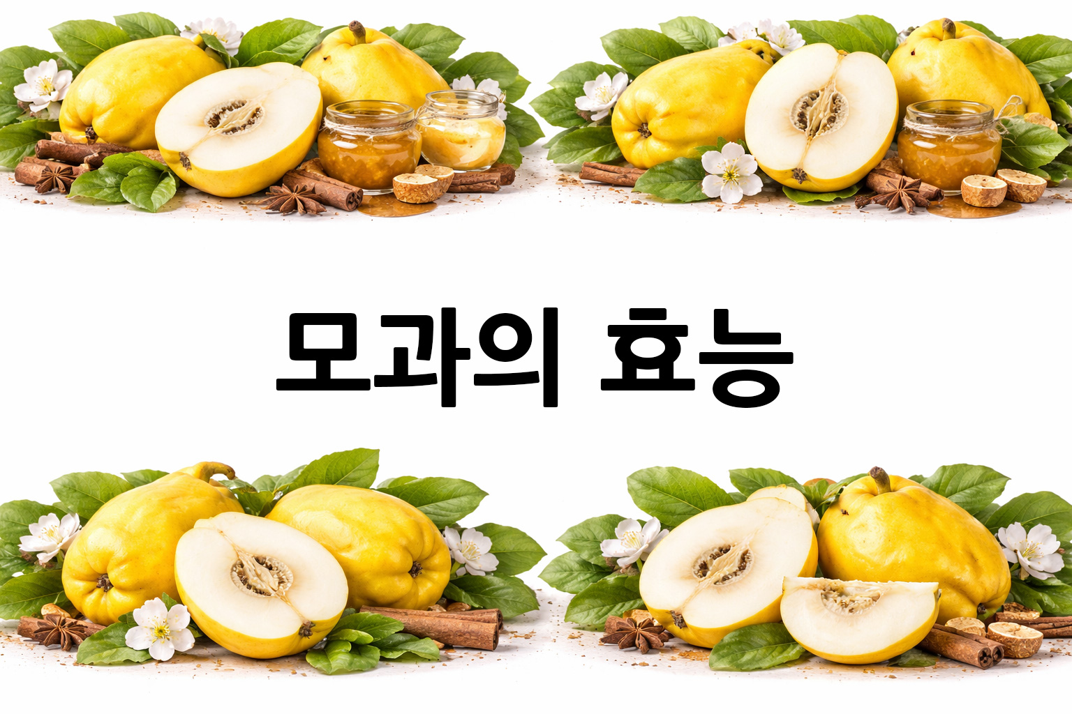 흰 배경의 모과 상·하단 띠 이미지, 가운데 텍스트 공간 비움