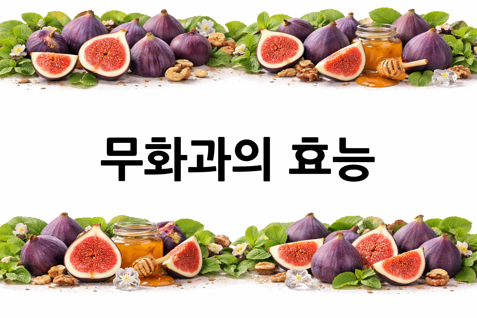 흰 배경의 무화과 상·하단 띠 이미지, 가운데 텍스트 공간 비움