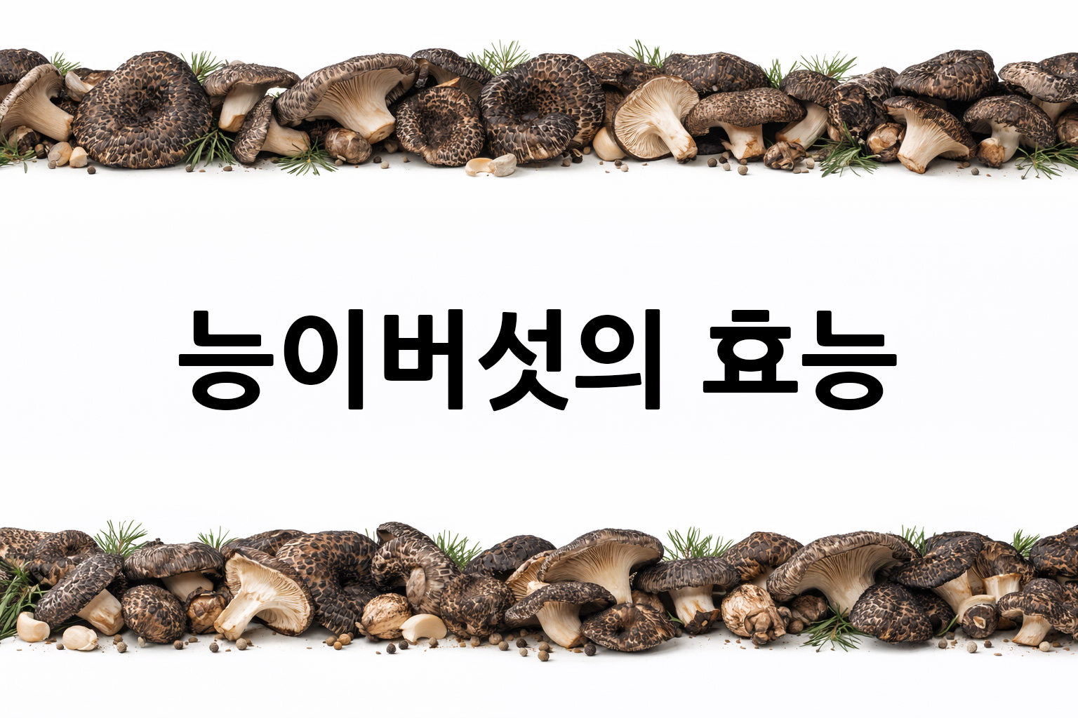 흰 배경의 능이버섯 상·하단 띠 이미지, 가운데 텍스트 공간 비움