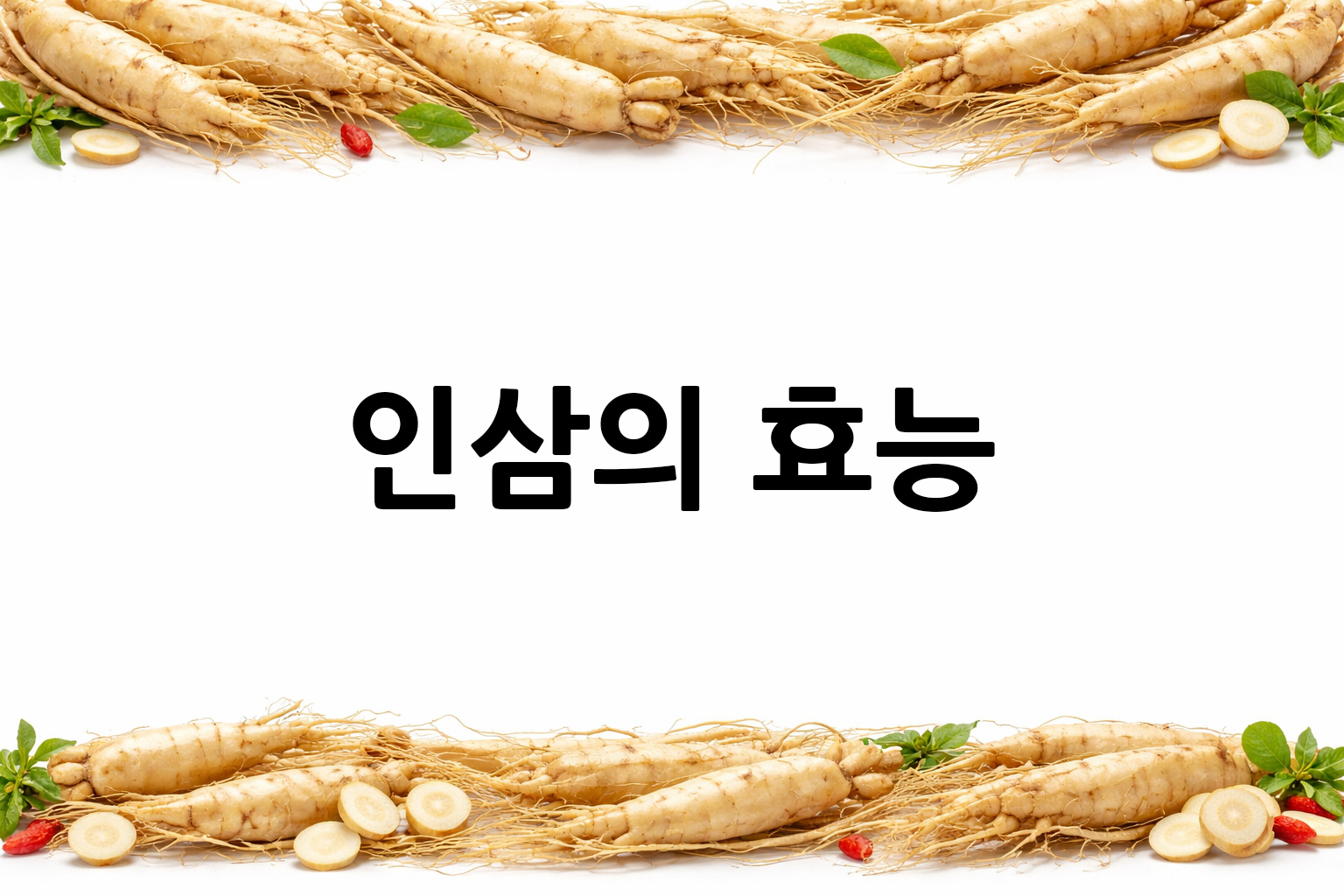 흰 배경의 인삼 상·하단 띠 이미지, 가운데 텍스트 공간 비움