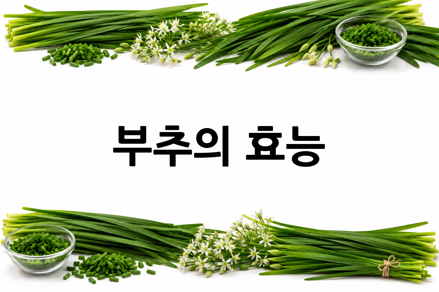 흰 배경의 부추 상·하단 띠 이미지, 가운데 텍스트 공간 비움