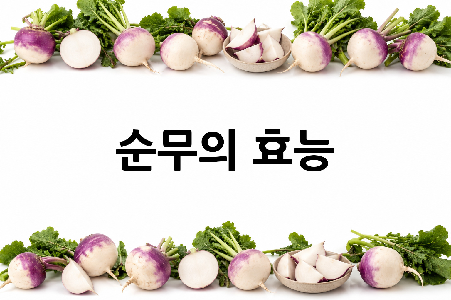 흰 배경의 순무 상·하단 띠 이미지, 가운데 텍스트 공간 비움